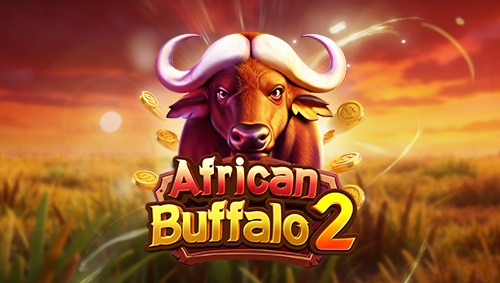 African Buffalo 2